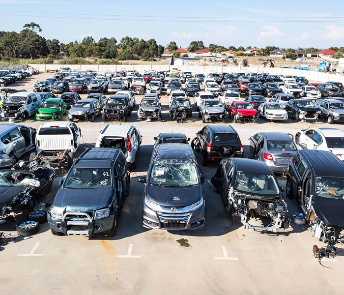 Vehicles We Buy Petrie